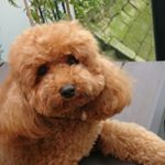 Profile Picture of Jose Felix Gutierrez (@bitxo_official_) on Instagram