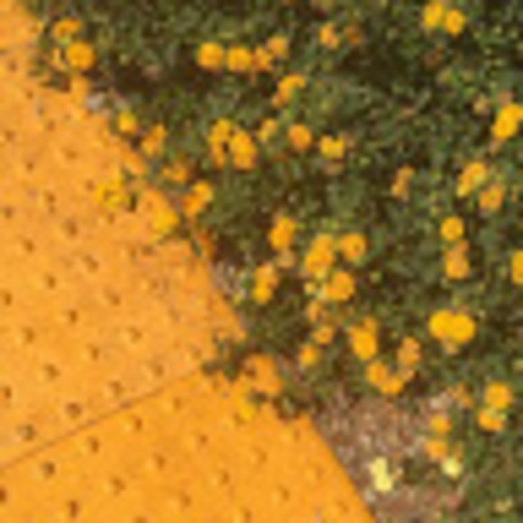 Profile Picture of Kierra Dykmann (@352kad07) on Poshmark