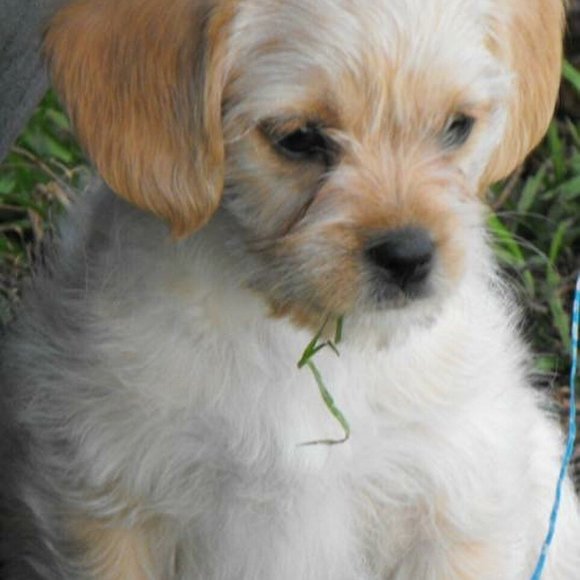 Profile Picture of Meredith Earley (@mlearley66) on Poshmark