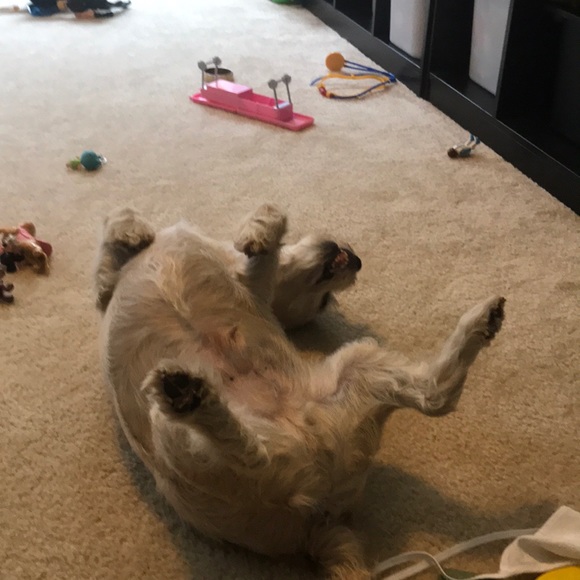 Profile Picture of Amanda Perrin (@amanda_perrin) on Poshmark