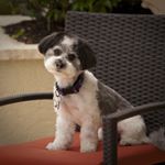 Profile Picture of Thomas Philips (@tephilips) on Instagram