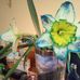 Profile Picture of Steven Snider (@steven.snider.9847) on Facebook
