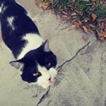 Profile Picture of Eva Barrera (@eva_barrera_2006) on Instagram