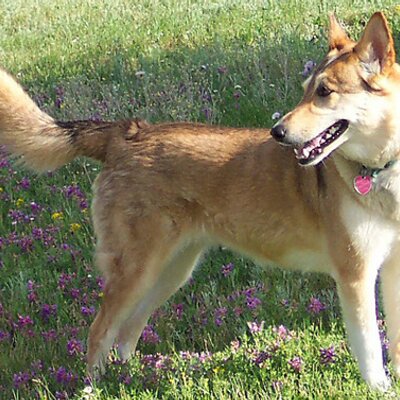 Profile Picture of Jimmy Linton (@AFJimmy) on Twitter