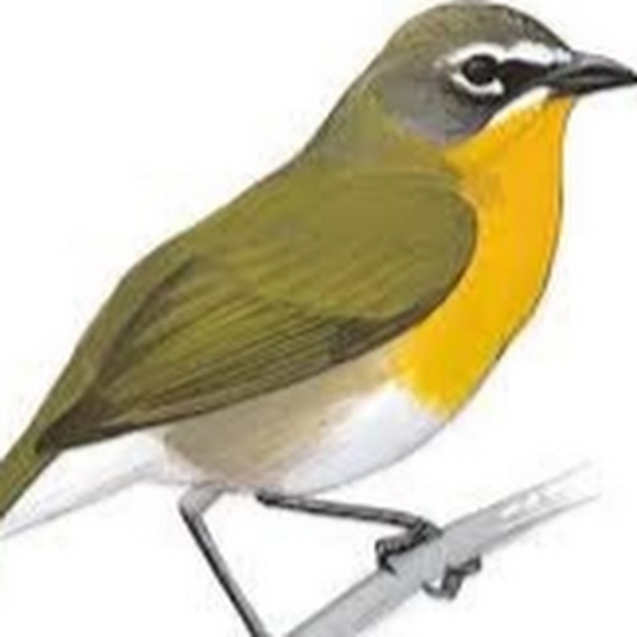 Profile Picture of Troy Kim (@troyboy1688) on Poshmark