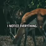 Profile Picture of Melly Cain (@Melly-Cain) on Facebook