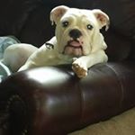 Profile Picture of Phyllis Cartwright (@bonanza_) on Instagram