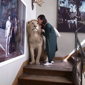 Profile Picture of Kai-Ting (@ktlin79) on Pinterest