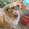 Profile Picture of calvinboone (@@calvinboone) on Tiktok