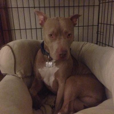 Profile Picture of Brian Kuhl (@bckuhl) on Twitter