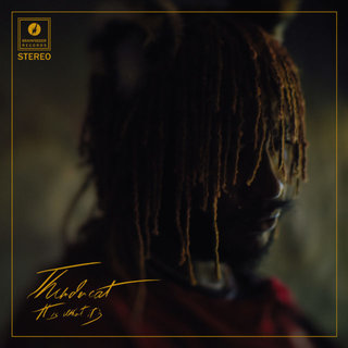 Profile Picture of It Is What It Is (Thundercat album)on Wikipedia