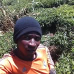 Profile Picture of Brian Chege (@Brian-Chege) on Facebook