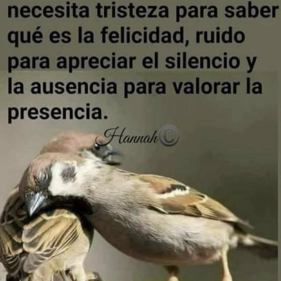 Profile Picture of Eva Mota (@evamota77) on Poshmark