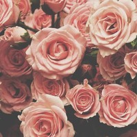 Profile Picture of Evelyn Saenz (@evelyn-saenz-7) on Quora