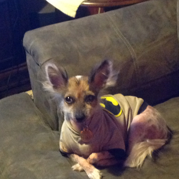 Profile Picture of Chris Pekar (@chrisp10) on Poshmark