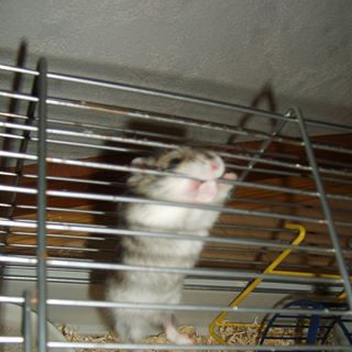 Profile Picture of Anicet Le'ouf (@anicet.leouf) on Facebook