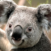 Profile Picture of Eric Halverson (@erichalverson441) on Youtube