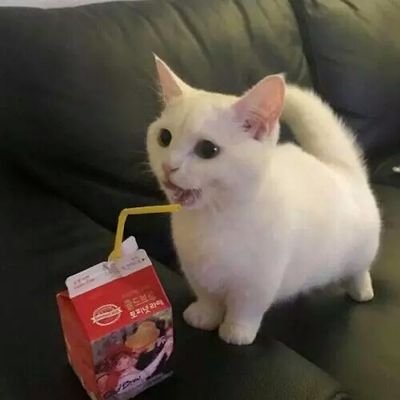 Profile Picture of Hollander.d (@NfT6H771PFJBXx3) on Twitter