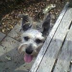 Profile Picture of Janet Oneal (@janetoneal57) on Instagram