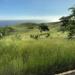 Profile Picture of Belinda Jefferson Brumfield (@belinda.j.brumfield) on Instagram