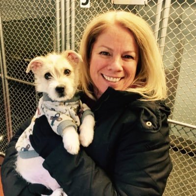 Profile Picture of Lisa Zappia (@zappia_lisa) on Twitter