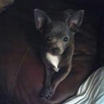 Profile Picture of Helene 😎 (@helen_clair_1505) on Instagram