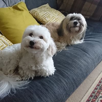 Profile Picture of Rupert Davies (@lordship68) on Twitter