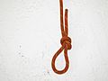 Profile Picture of Noose - Wikipediaon Wikipedia