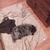 Profile Picture of Larry Bratcher (@larry.bratcher.942) on Facebook
