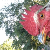 Profile Picture of Stanley Wagner (@stanley-wagner-1) on Quora