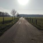 Profile Picture of Jörg Schulze (@handy.joerg) on Instagram