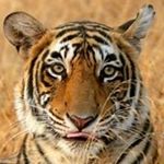 Profile Picture of Rose Richard (@kuzminski30) on Instagram