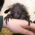 Profile Picture of Bill Baer (@bill.baer.1804) on Facebook