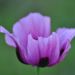 Profile Picture of Gabrielle Conway (@gabrielleconway) on Pinterest