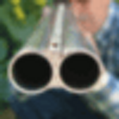 Profile Picture of Evan Yoder (@chltidusb) on Twitter