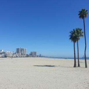 Profile Picture of Nick Puccio (@puccio_nick) on Twitter