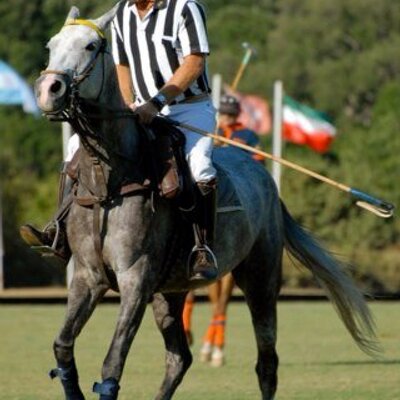 Profile Picture of Alejandro Pascual (@Alejand18925019) on Twitter