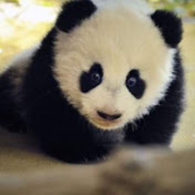 Profile Picture of Aoife Duffy (@aoifeduffy3913) on Youtube