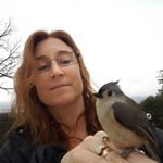 Profile Picture of Lara Ellis (@lara_ellis_1) on Instagram