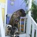 Profile Picture of Jacqui Tuttle (@jacquituttle) on Pinterest