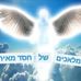 Profile Picture of Samy Frenkel (@samy.frenkel) on Facebook