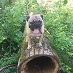 Profile Picture of Tyler Duckworth (@tyler.duckworth) on Instagram