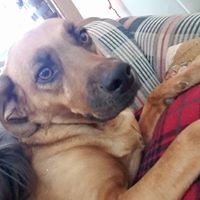 Profile Picture of Jennifer Amelia (@jennifer-amelia-1) on Quora