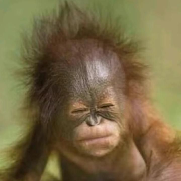 Profile Picture of AmyCooley (@teagabudcbh) on Tiktok