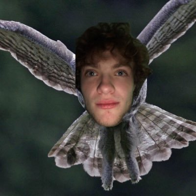 Profile Picture of Nolan’s Bird Page (@BirdNolans) on Twitter