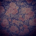 Profile Picture of James Spindler (@happyrosole) on Instagram