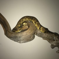 Jeremy Mosier - Quora Profile Picture of Jeremy Mosier (@jeremy-mosier-4) on Quora