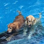 Profile Picture of Jeff Tarantino (@jeff.tarantino.9) on Instagram