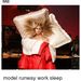 Profile Picture of Natalie Sample Catts (@samplecatts) on Pinterest