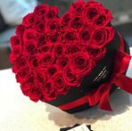 Profile Picture of Alex Gramada (@alex.gramada.50) on Facebook